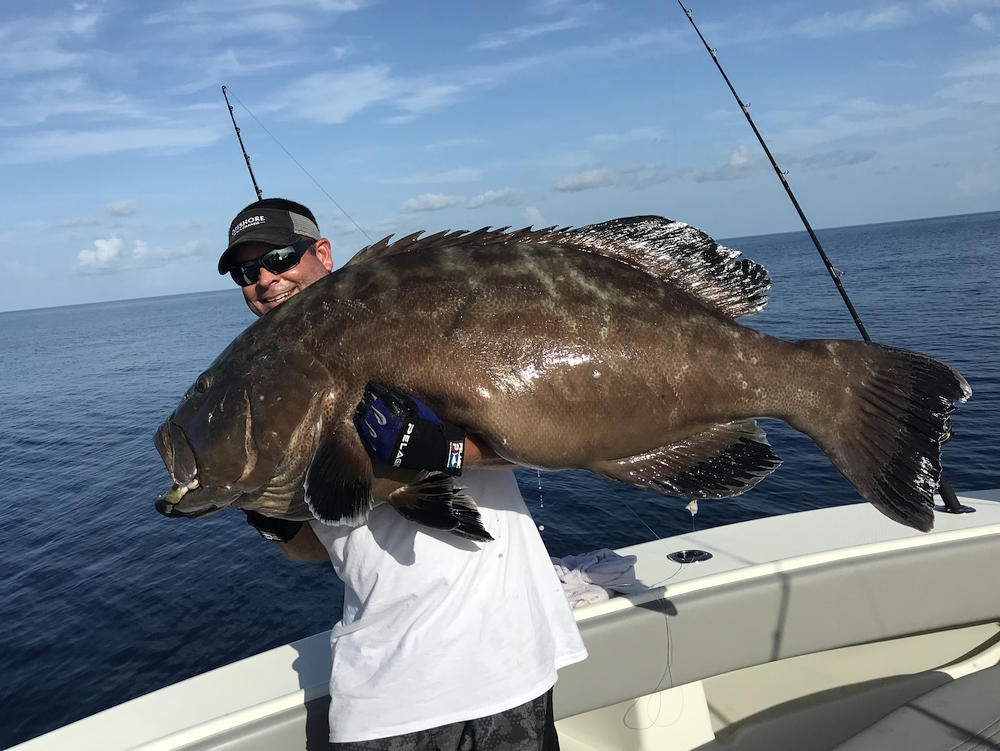 grouper 102 lbs